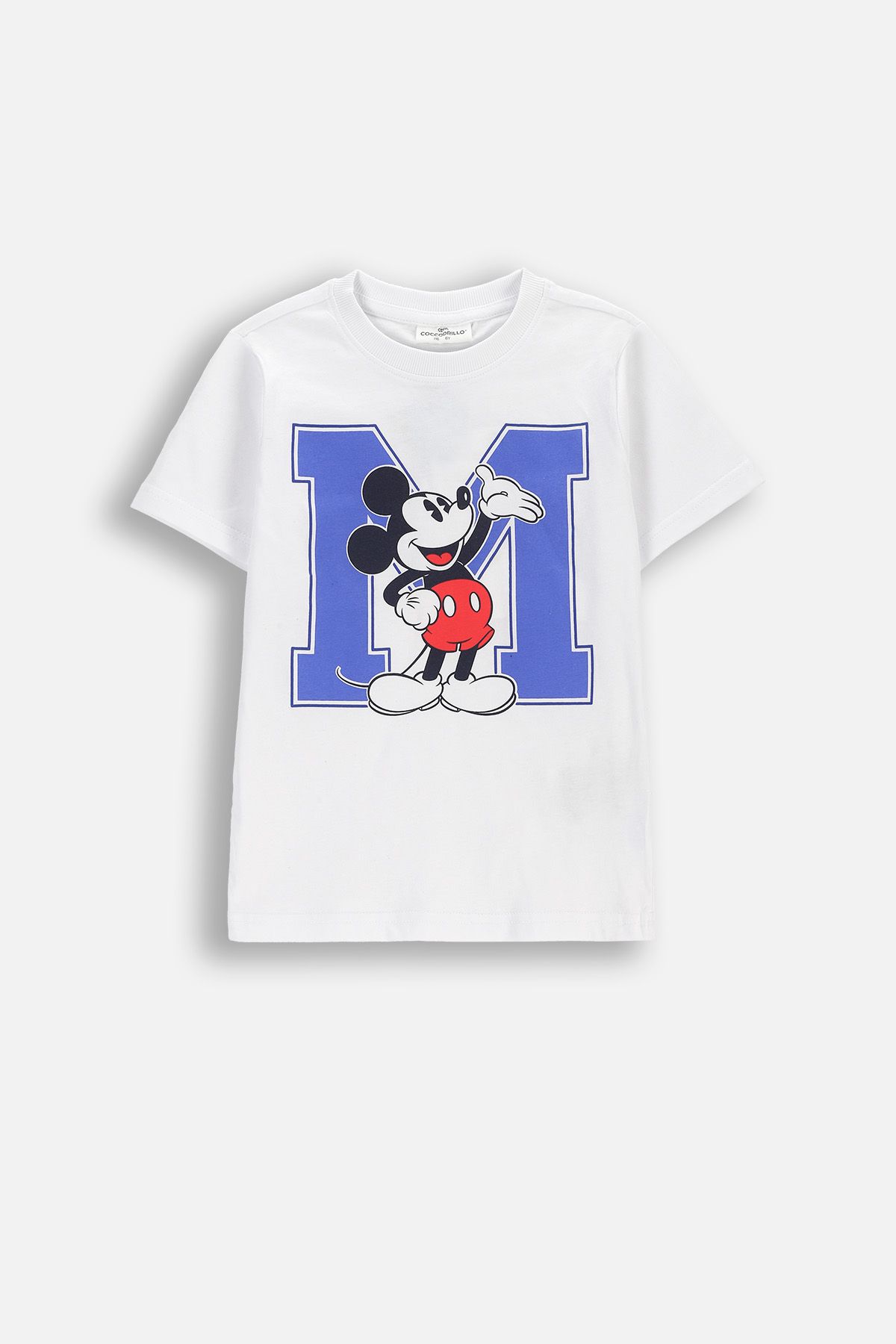 Tricou cu mânecă scurtă gri cu imprimeu pe față și pe spate