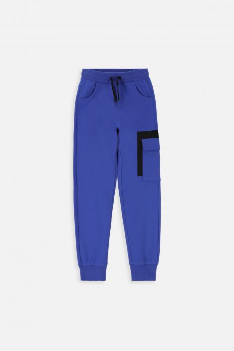 Pantaloni de trening bleumarin, cu buzunare, model REGULAR 2